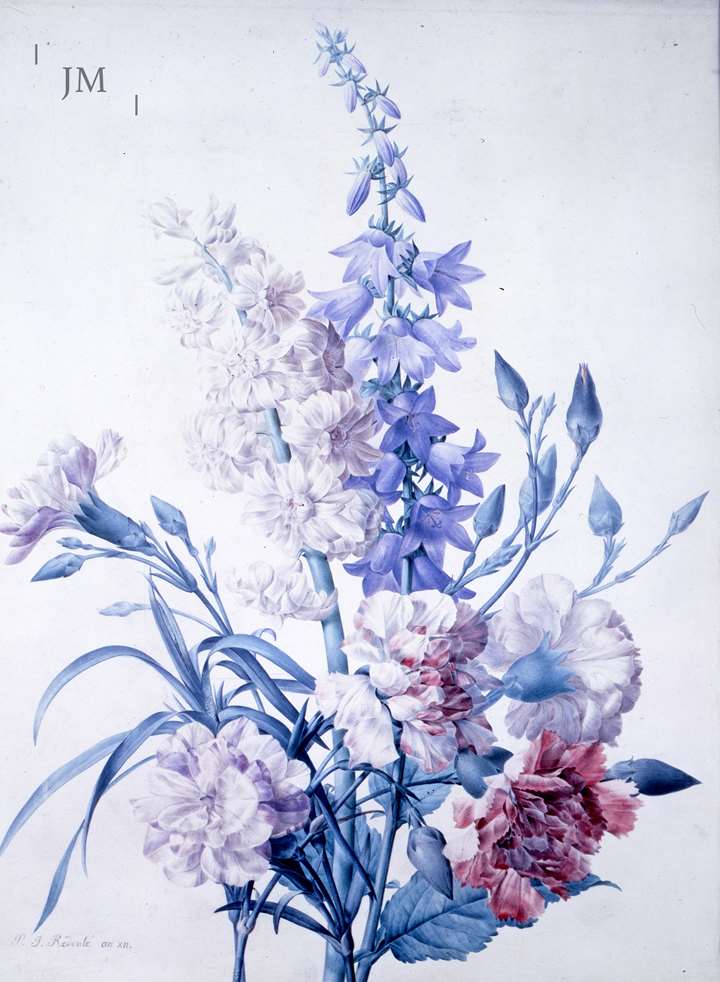 Oeillets, jacinthe and campanule